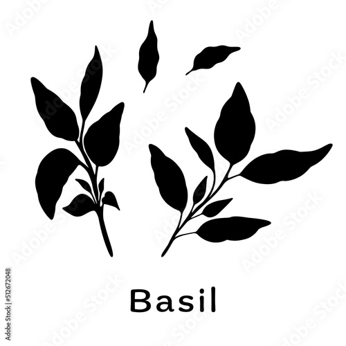 Black basil branches on white background. Minimalistic botanical elements for cosmetics. Hand-drawn design concept. Vector illustration