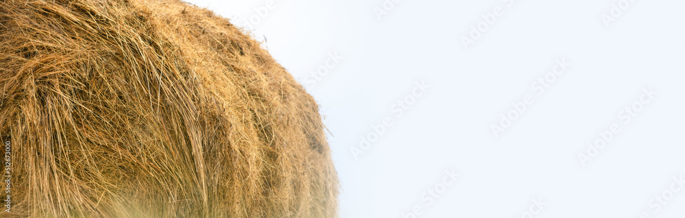 Naklejka premium Haystack on the field on a light background. Harvest concept. Banner