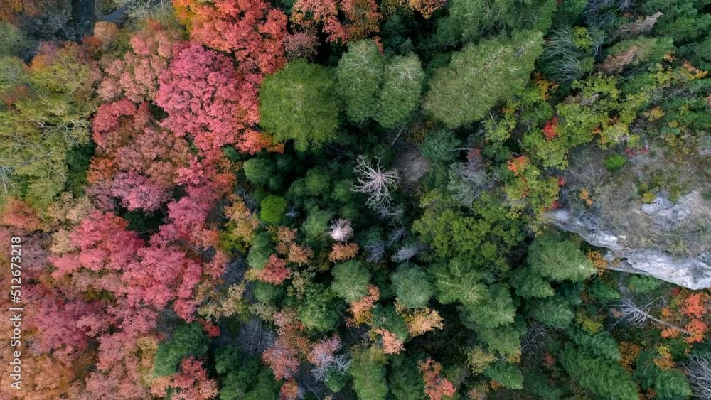 Top down view of colorful canyon during the Fall viewing shades of leaves flying over forest. Top down view of colorful canyon during the Fall viewing shades of leaves flying over forest.
