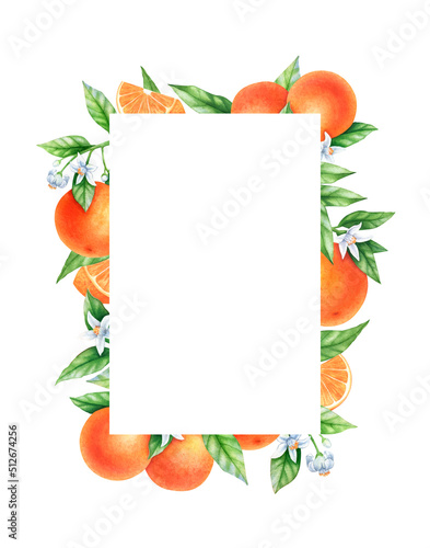 Graphic frame, oranges, flowers and leaves. Hand drawn watercolor illustration, floral ornament. Image for inscriptions, advertisements, labels, invitations, postcards.