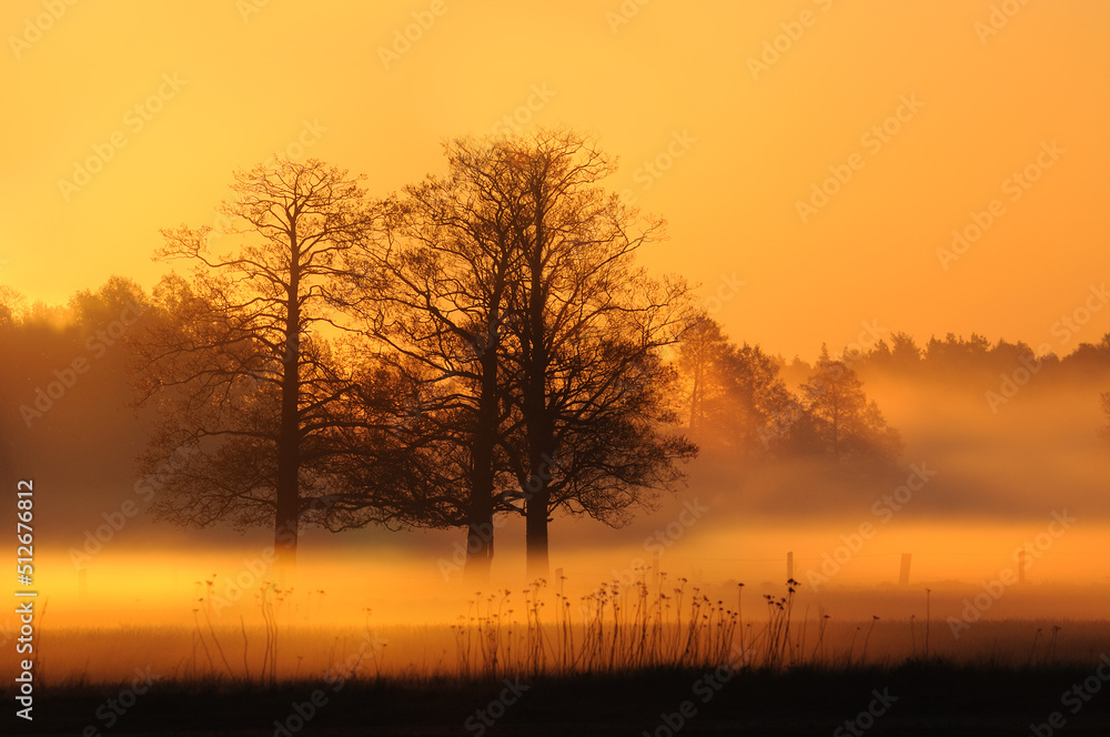 Early morning sunrise with fogs Early morning sunrise with fogs