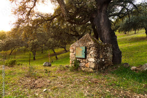 Rusty stone monolith surrounded by oak trees
