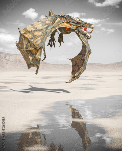 dragon is hunting down on the desert after rain © DM7