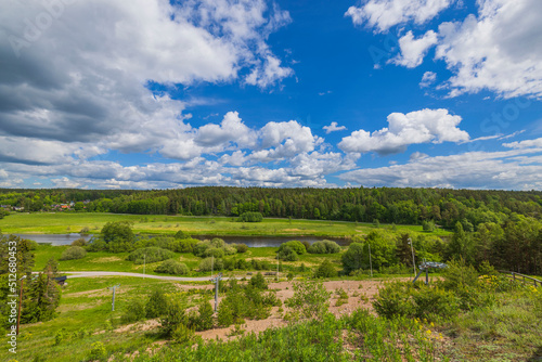 Amazing view of green summer landscape with river against blue sky and white clouds. Sweden.