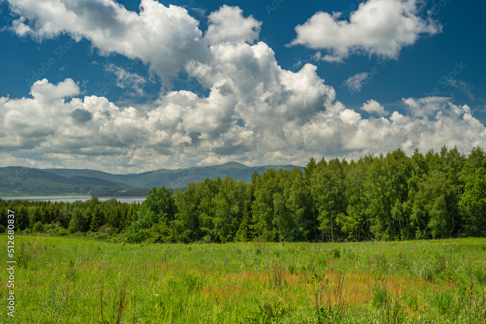 Beautiful mountain meadow with birch trees and clouds on blue sky in background Beautiful mountain meadow with birch trees and clouds on blue sky in background