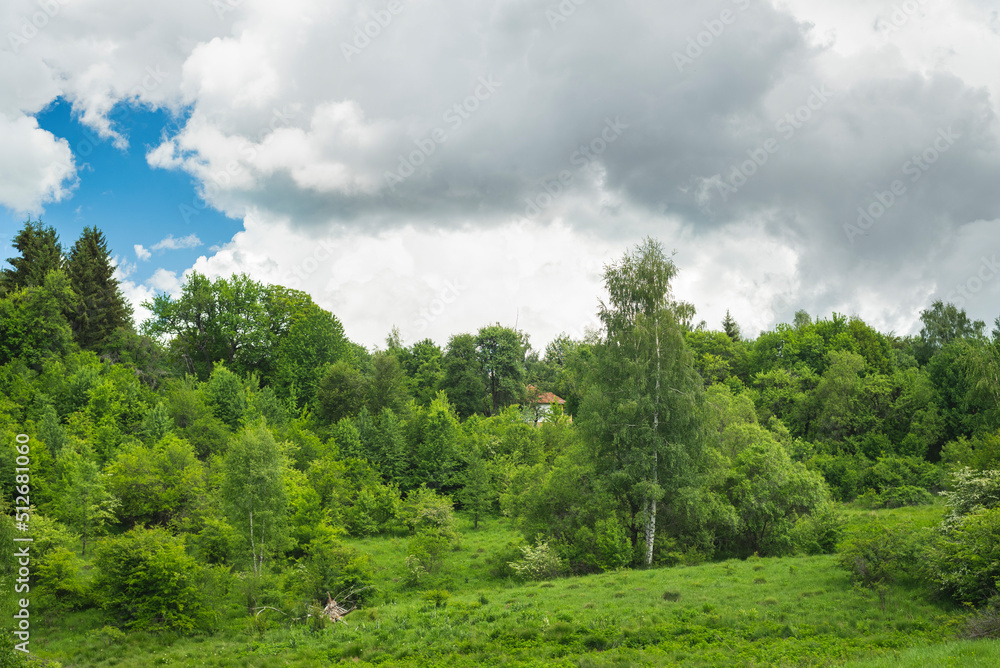 Beautiful mountain meadow with birch trees and clouds on blue sky in background
