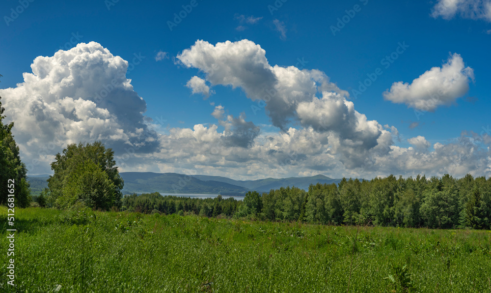 Beautiful mountain meadow with birch trees and clouds on blue sky in background Beautiful mountain meadow with birch trees and clouds on blue sky in background