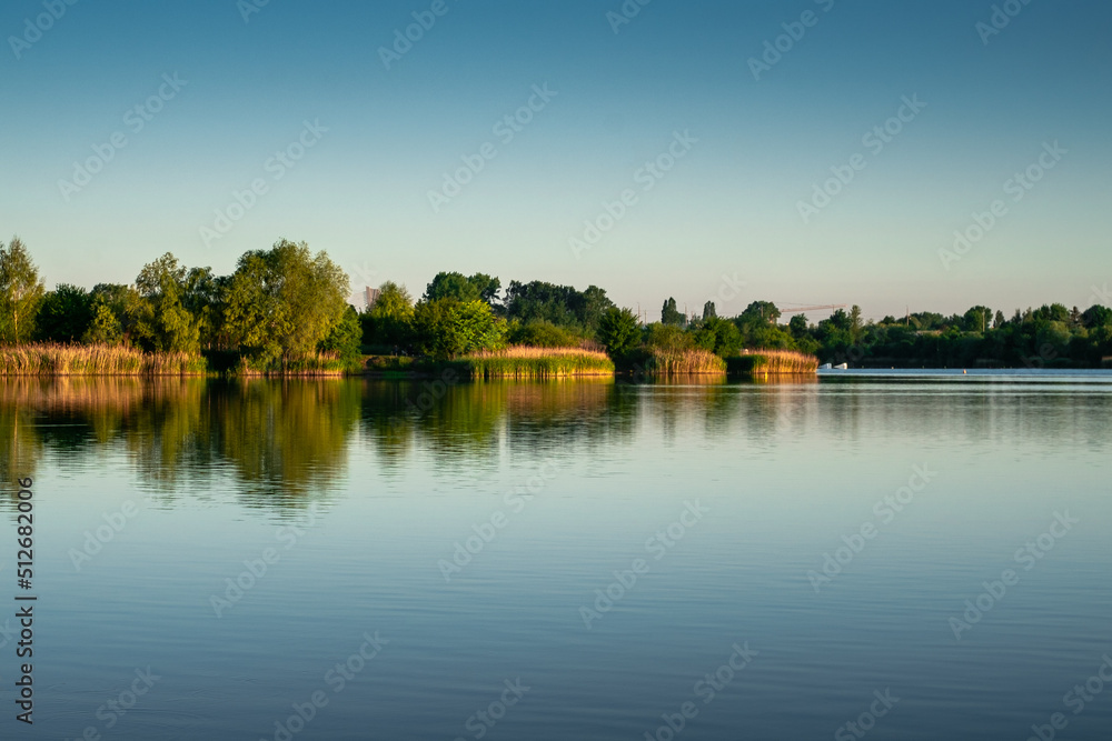 reflection of trees in the lake