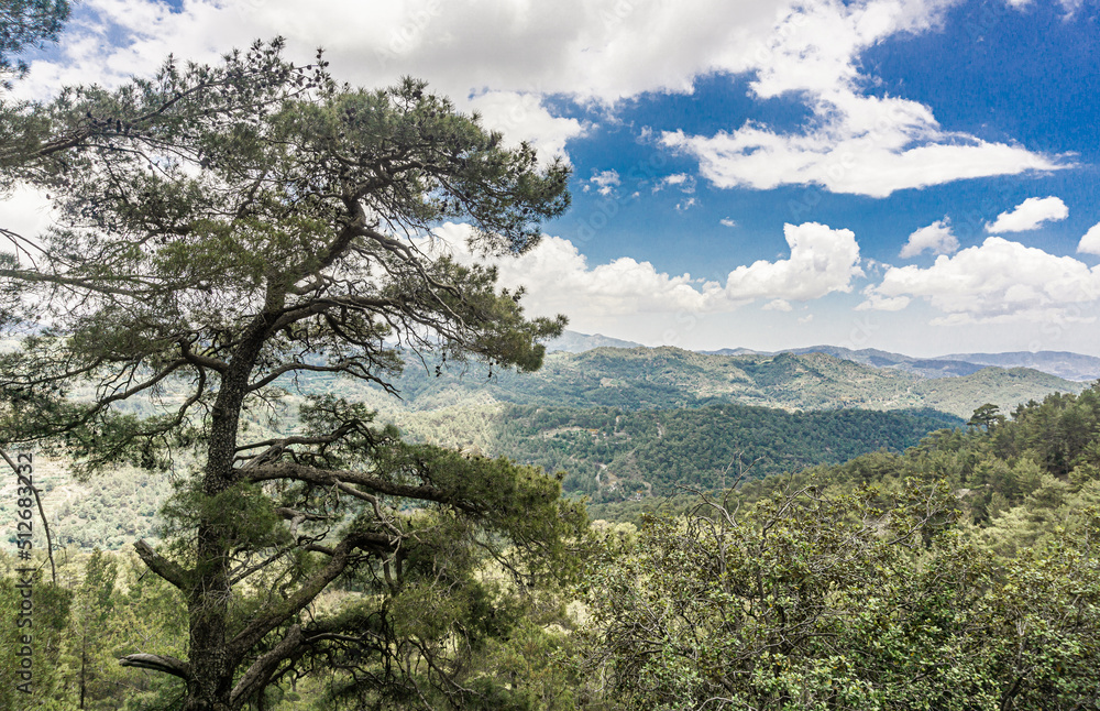 Scenic view with mountains and forest. Cyprus. landscape.