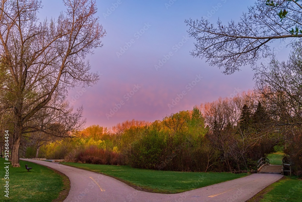 Fototapeta premium Sunrise Glow Over A Spring Park