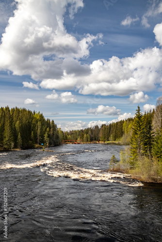 Yanisjoki River in Karelia on a sunny day. Nature of Karelia.