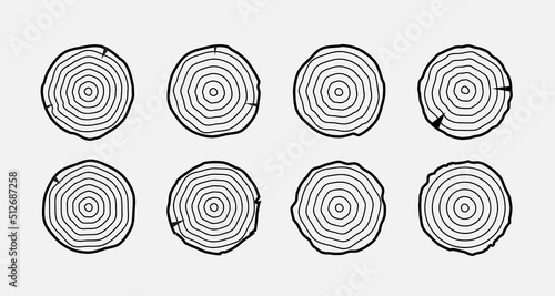 Tree growth rings wood trunk vector annual organic stump. Tree circle icon design