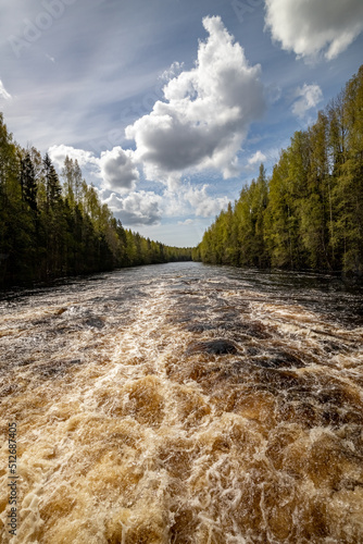 Yanisjoki River in Karelia on a sunny day. Nature of Karelia. photo