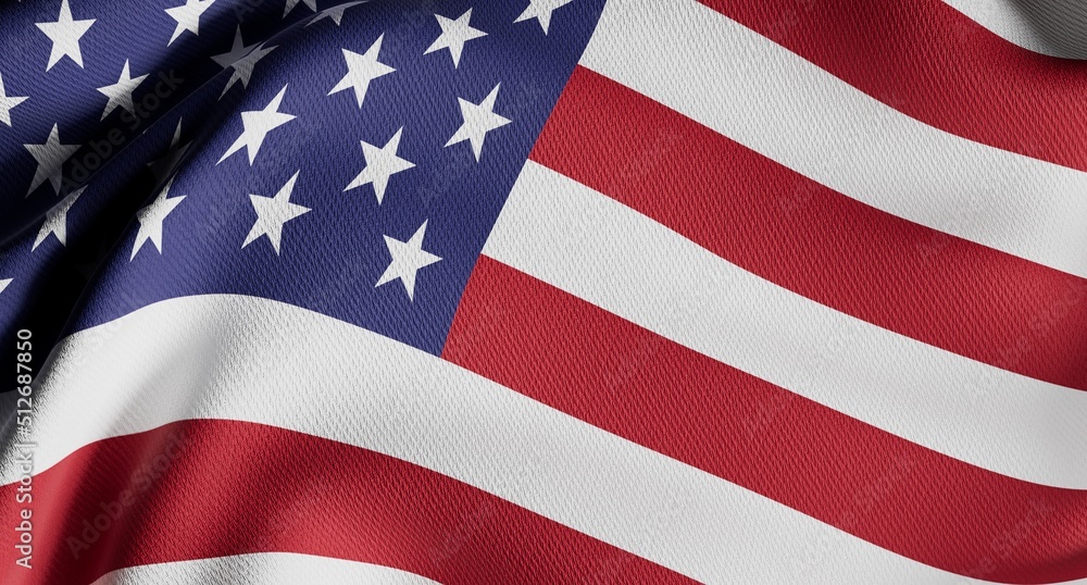 Fototapeta premium United States Government Presidential Election, Voting, Flag