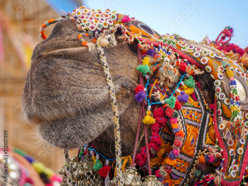 Decorated Camel Face Close up Picture in Indian desert rural village