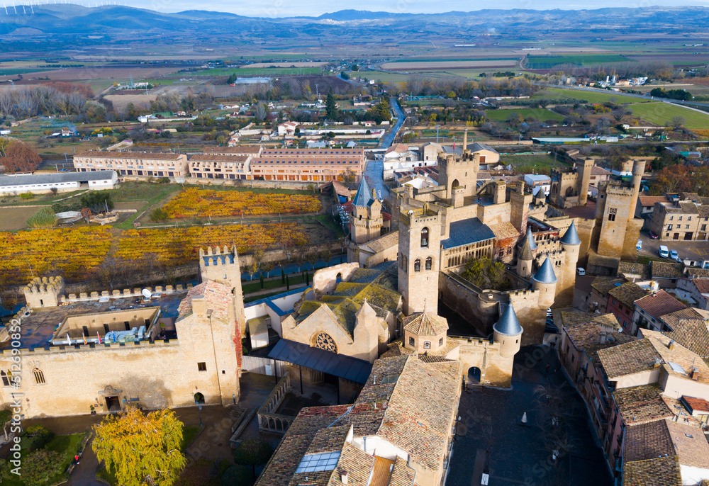 Aerial view of castle Palacio Real de Olite. Navarre. 