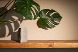 background with monstera leaf