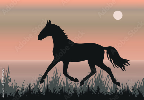 isolated silhouette of a running young horse against a landscape background
