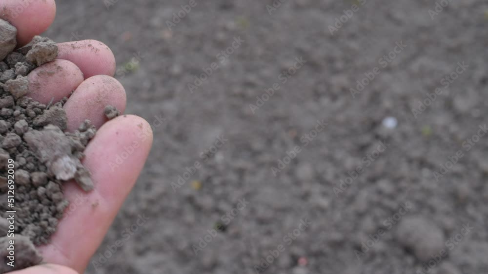 Farmer's hands touch soil. Man is check soil quality before sowing. Drought and crisis environment. Global warming. Lifeless, waterless soil due lack of moisture Farmer's hands touch soil. Man is check soil quality before sowing. Drought and crisis environment. Global warming. Lifeless, waterless soil due lack of moisture