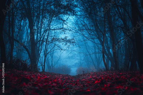 Fairy Forest. Mystical atmosphere. Paranormal another world. Stranger forest in a fog. Dark scary park with red leaves. Background for wallpaper. photo