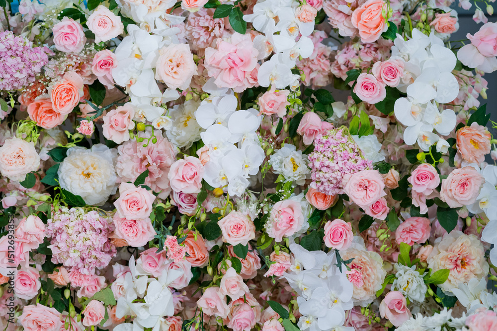 Fototapeta premium beautiful flower background, colorful nature 