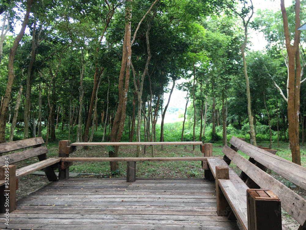 Seat to relax and watch the mixed deciduous forest in the animal shelter Seat to relax and watch the mixed deciduous forest in the animal shelter