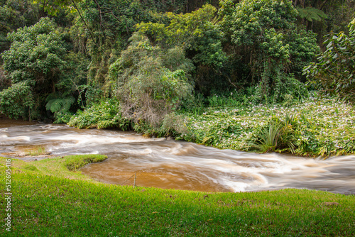 rapids on a sunny day