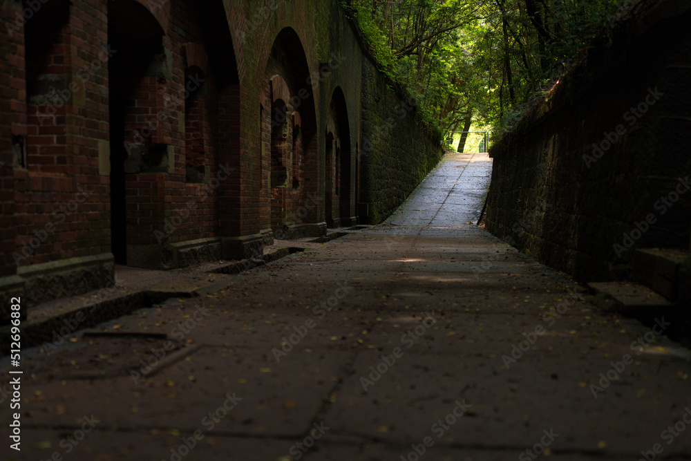 Fototapeta premium 和歌山市 友ヶ島風景素材