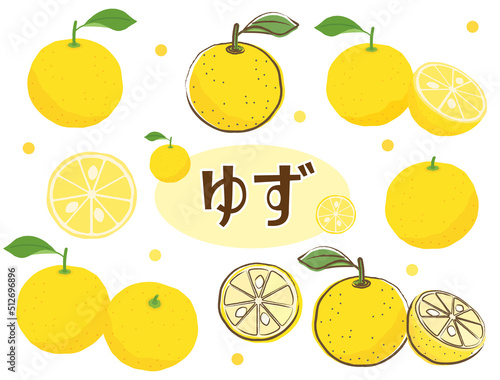 柚子をイメージしたイラストのセット