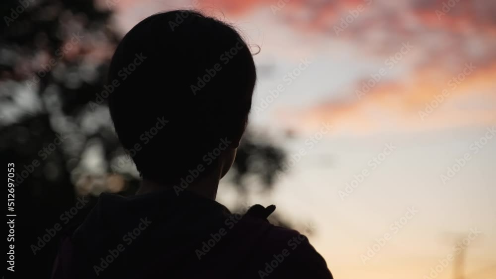 Woman with short hair silhouetted against a golden hour cotton candy sky. Looking forward, deep thought. Woman with short hair silhouetted against a golden hour cotton candy sky. Looking forward, deep thought.