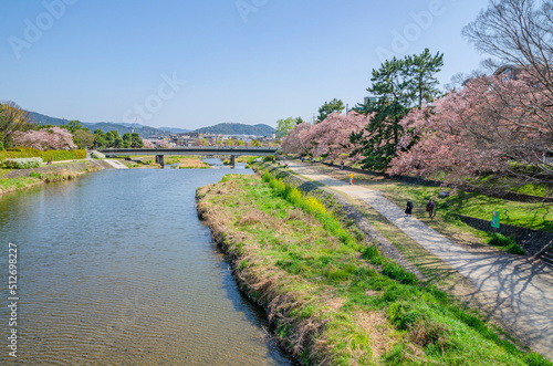 京都の賀茂川