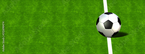 芝の上に置かれたサッカーボールのイラスト © k_yu