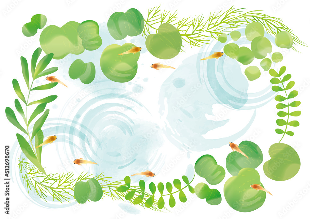 メダカ 水草 和風イラスト Stock ベクター Adobe Stock メダカ 水草 和風イラスト Stock ベクター Adobe Stock