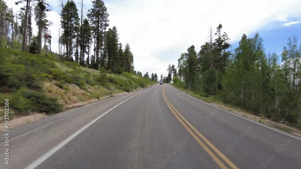 Driving Plate Bryce Canyon Scenic Drive Northbound Multicam Set 12 Rear View Forest Utah Southwest USA Driving Plate Bryce Canyon Scenic Drive Northbound Multicam Set 12 Rear View Forest Utah Southwest USA