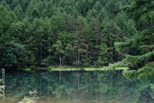 lake in forest