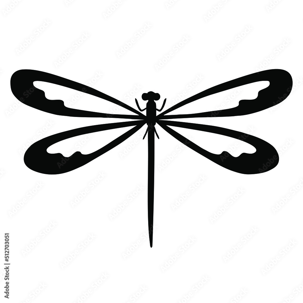 dragonfly isolated on white dragonfly isolated on white