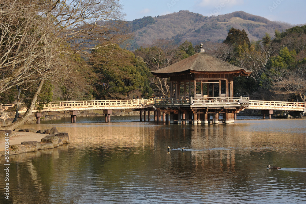Obraz premium 浮見堂 奈良公園にて