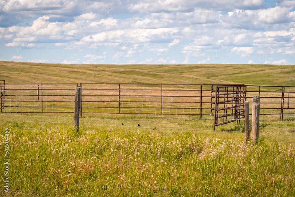 Animal Fence in The Countryside Animal Fence in The Countryside