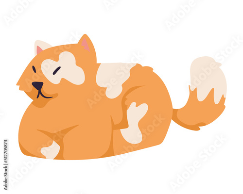 orange cute cat mascot
