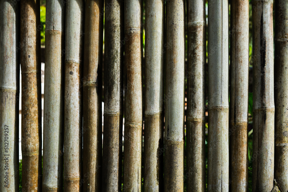 The surface of the bamboo board wall for the background. Old dried bamboo with a detailed texture. The surface of the bamboo board wall for the background. Old dried bamboo with a detailed texture.