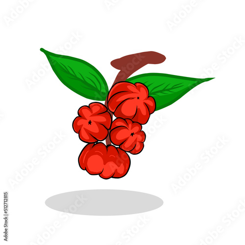 Illustration of an Otaheite gooseberry fruit. Oyahite gooseberry fruit icon. Fruits