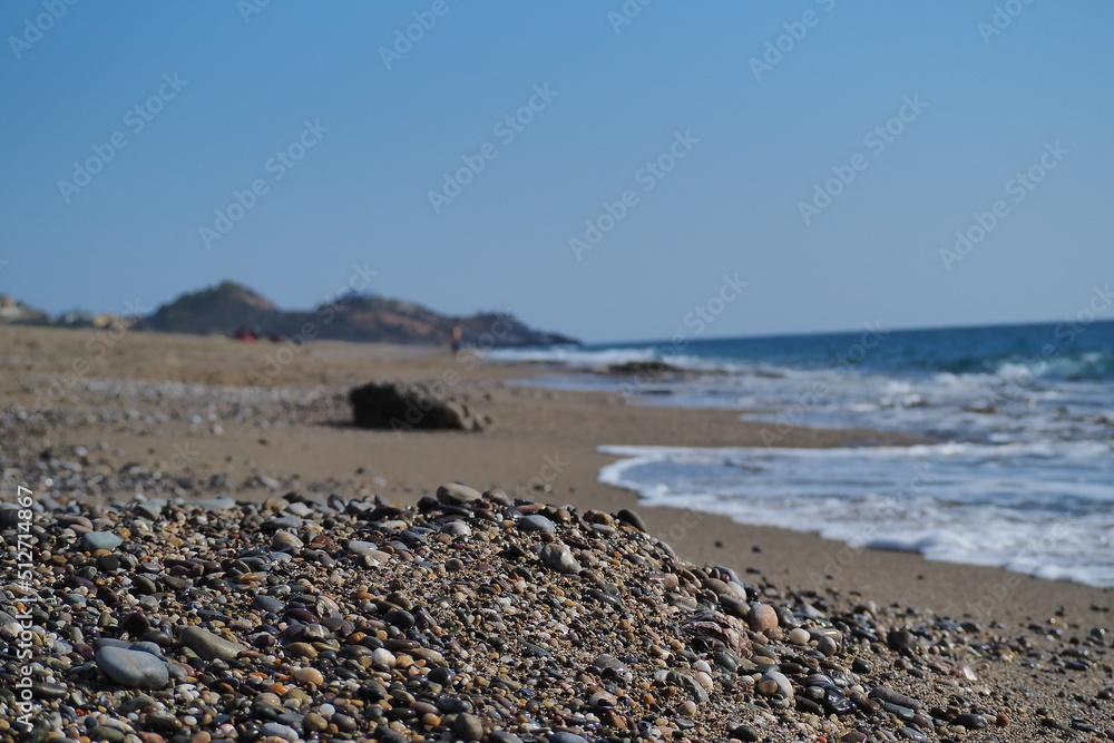 Beautiful colors of summer and its harmony with the sea Beautiful colors of summer and its harmony with the sea