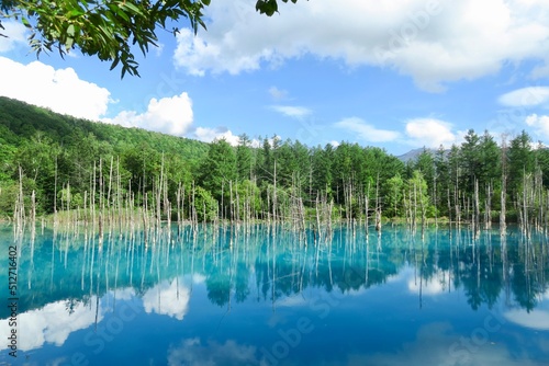 夏の青い池