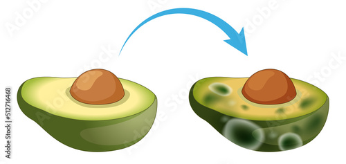Inedible decomposed avocado with mould