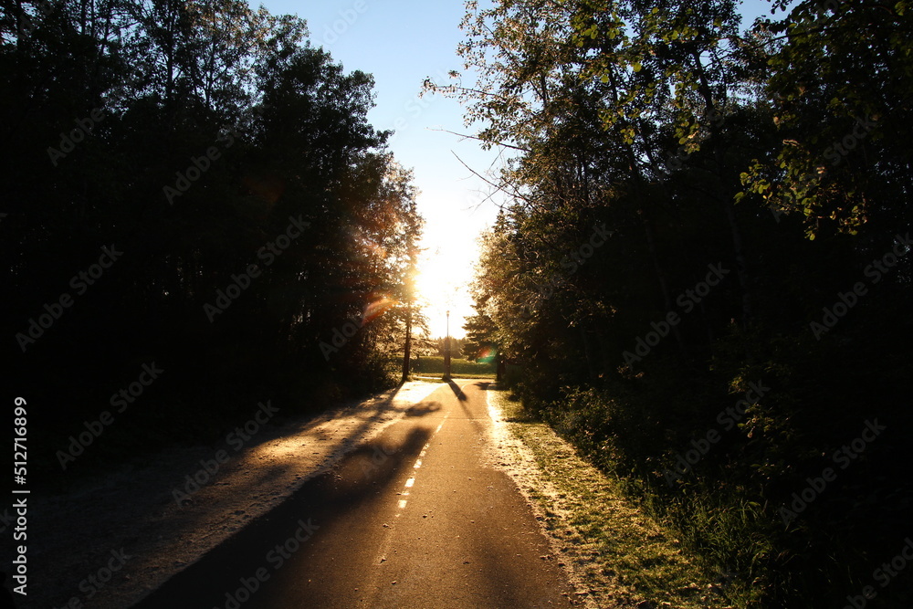 Fototapeta premium Trail To The Sun, Gold Bar Park, Edmonton, Alberta