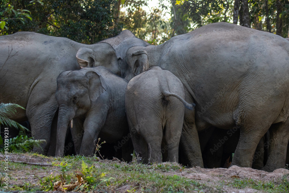 Fototapeta premium Party