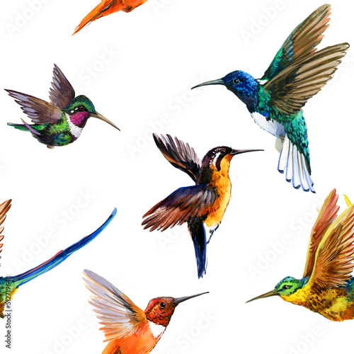 seamless pattern watercolor Hummingbird. Tropical bird 