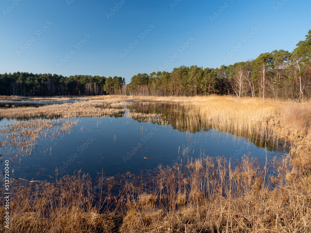 View of the breeding ponds at sunset, Milicz, Lower Silesia, Poland