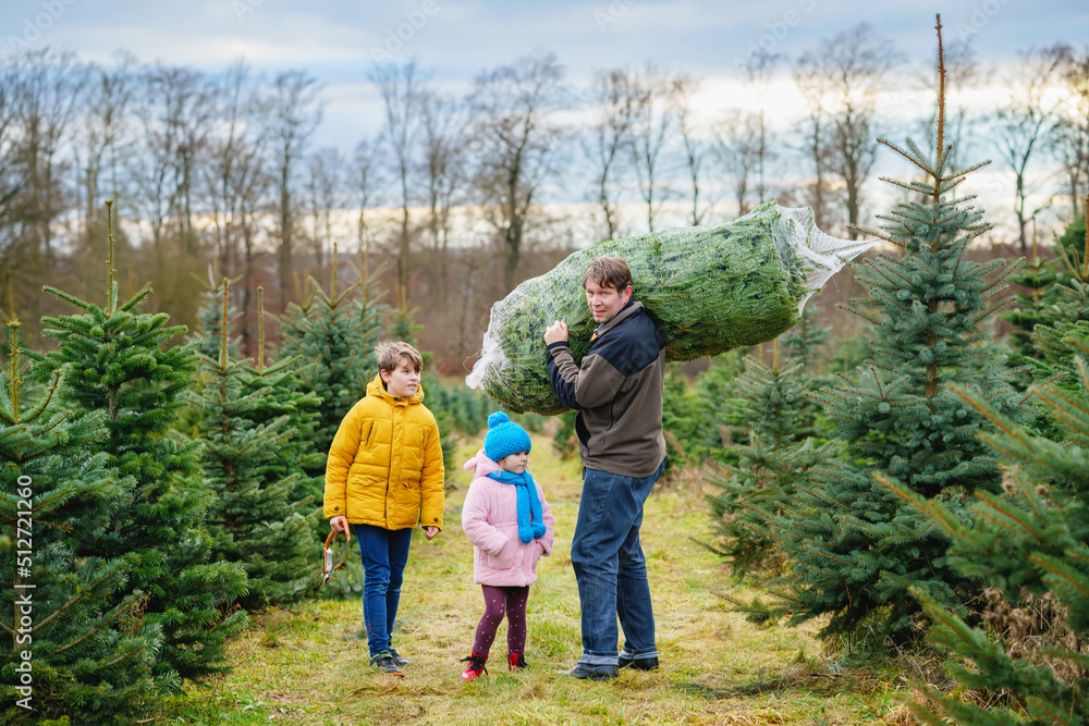 Happy family, man and two children with Christmas tree on fir tree cutting plantation. Preschool girl, kid boy and father choosing, cut and felling own xmas tree in forest, family tradition in Germany Happy family, man and two children with Christmas tree on fir tree cutting plantation. Preschool girl, kid boy and father choosing, cut and felling own xmas tree in forest, family tradition in Germany