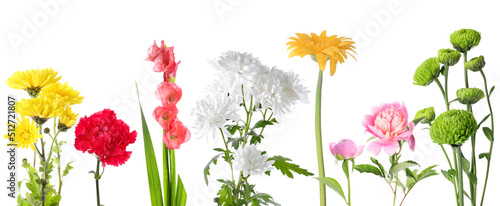 Fototapeta Naklejka Na Ścianę i Meble -  Set of different flowers isolated on white